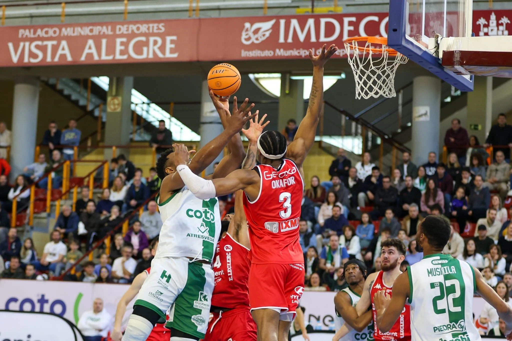 CCB suma una nueva victoria en casa ante cultural y deportiva leonesa 86-77 WhatsAppImage2025 03 16at17.25.4528129