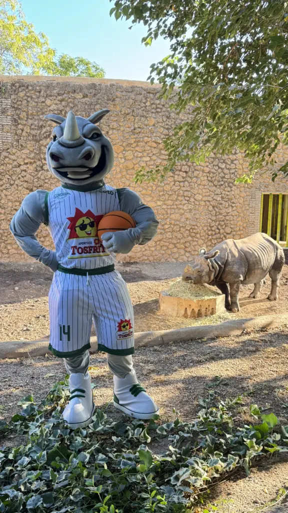 MANAS, LA NUEVA MASCOTA DE CCB QUE YA ES EMBLEMA DEL CLUB attachment 68c159cf36a48b382c718e70