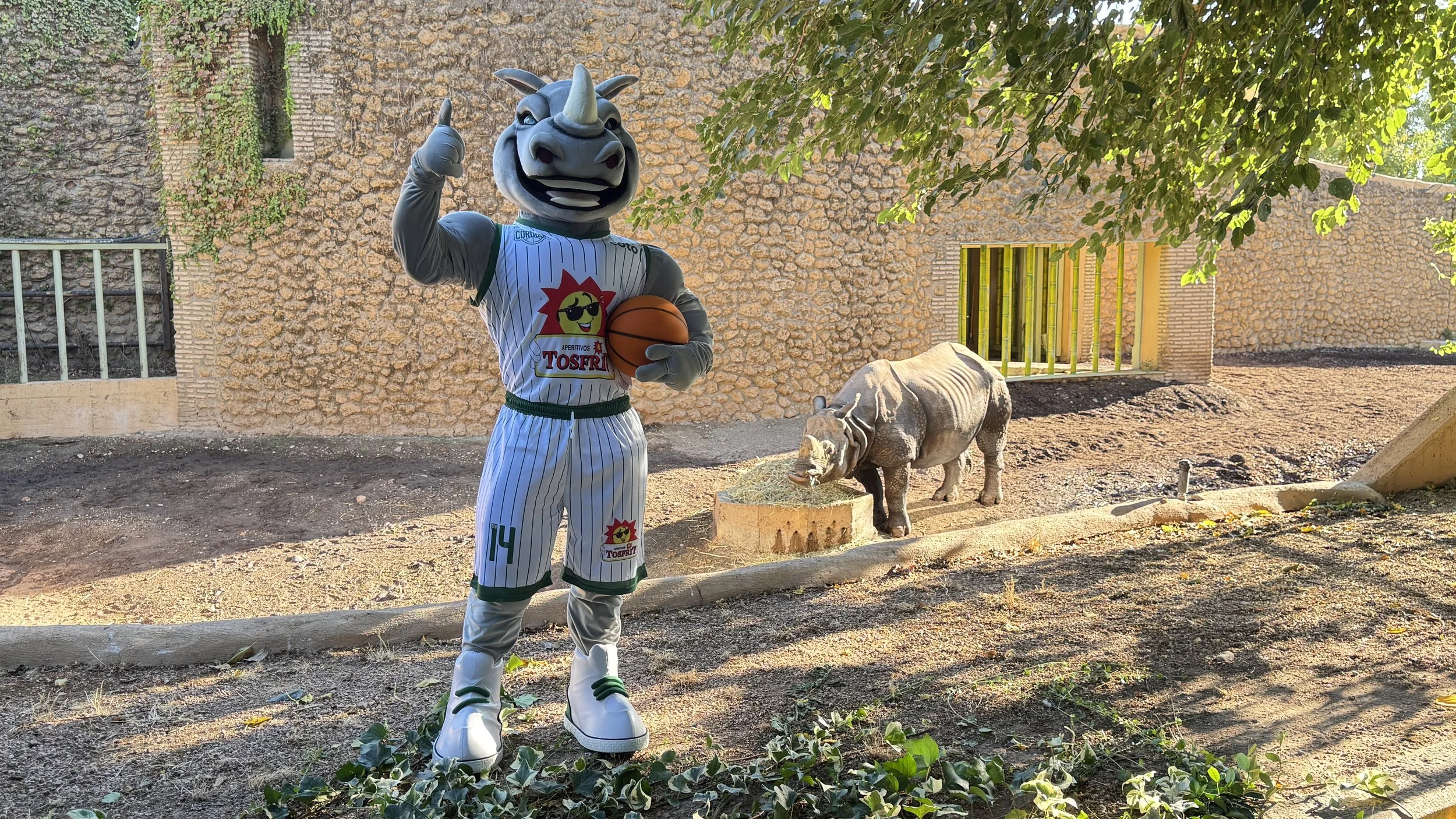 MANAS, LA NUEVA MASCOTA DE CCB QUE YA ES EMBLEMA DEL CLUB IMG 3431 1