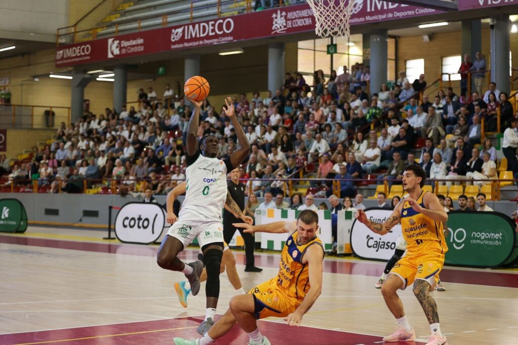 El Cajasol Coto Córdoba cae ante el Cajasiete Gran Canaria en Vista Alegre (65-99) a28af541 2821 4c23 8273 ef5a44c4fd1c
